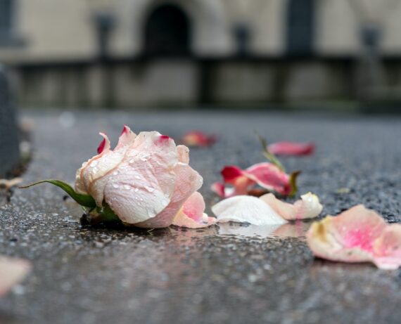 Curso Acompañamiento e Intervención Integral en el Proceso de Duelo Curso Acompañamiento e Intervención Integral en el Proceso de Duelo